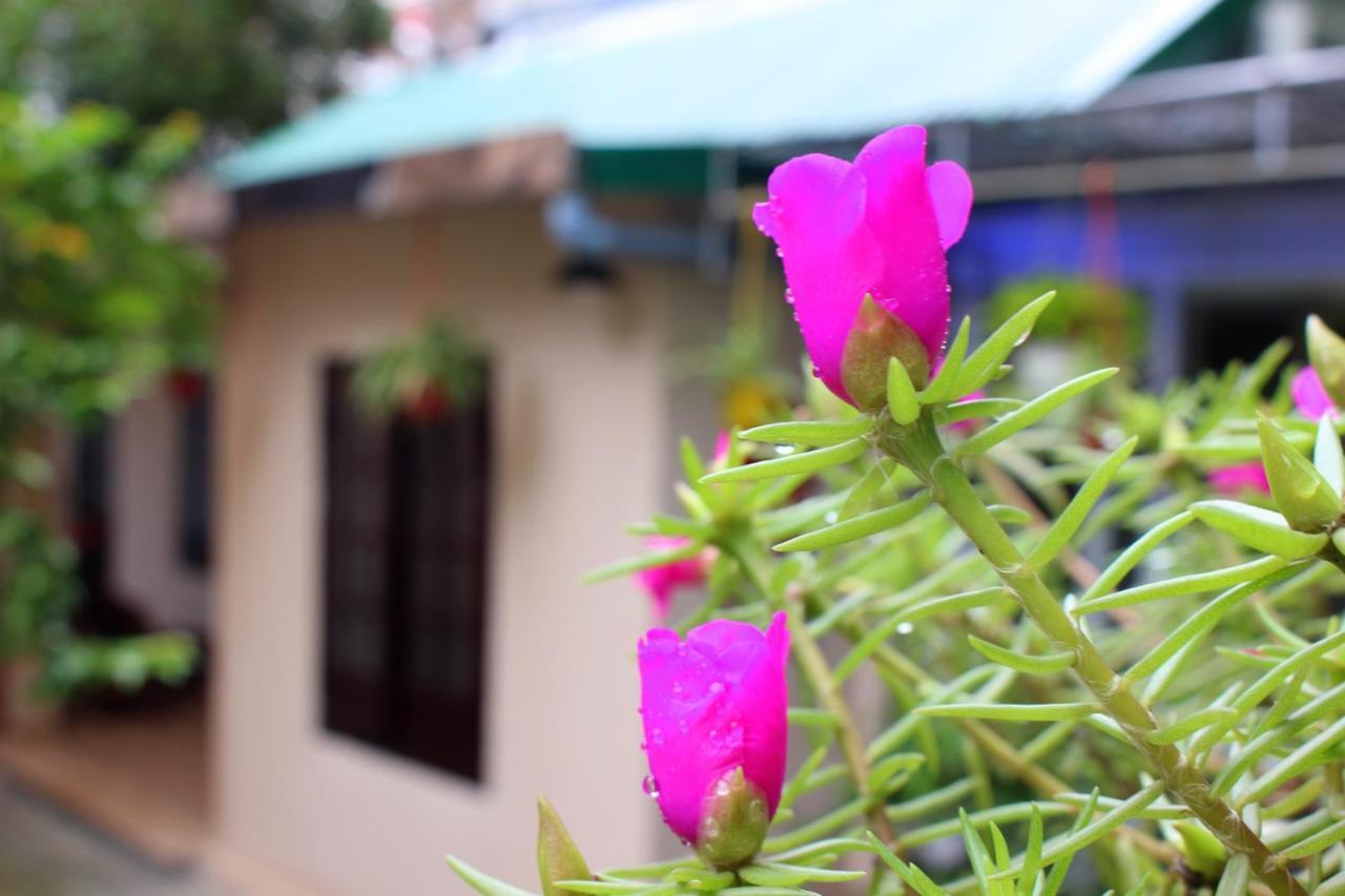 Homestay Minh Tu フエ エクステリア 写真
